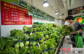 海口開售4種平價菜，設立76個供應點保障市民新鮮蔬菜零售