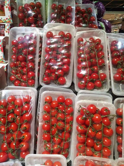 氧心園精品蔬菜 新鮮豌豆，一顆來自田野的美味