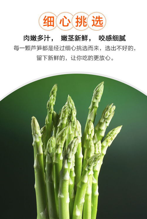 春嘗蘆筍正當(dāng)時(shí) 山東應(yīng)季農(nóng)家特產(chǎn)的新鮮密碼