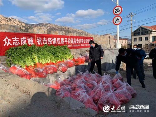 共克時(shí)艱 青島商務(wù)在行動(dòng) 以“豐菜足果”溫暖城市居民生活