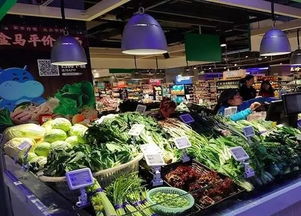 盒馬又出 鮮 招 盒馬菜市 首家店落戶(hù)上海